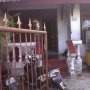 Jual Rumah 2lt di tanah abang, lokasi segitiga emas! jual cepat gan!!