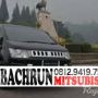 Mitsubishi Delica At 