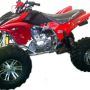 Atv 110cc Ring 8