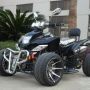 Atv 110cc Ring 8