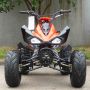 Atv 110cc Ring 8