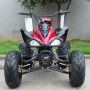 Atv 110cc Ring 8