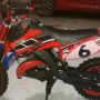 Motor Mini Trail Kxd 50cc