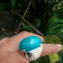 Bacan Doko Tb055