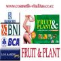 FRUIT&amp;PLANT SUPLEMEN PELANGSING SUPER AMPUH