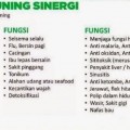 akar kayu tali kuning daun bulan sirawan kunyit peron hepatitis hati