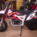 Motor Mini Model Trail 50cc