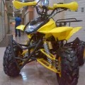Motor ATV 110cc Ring 8 Ready