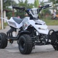 New ATV Quad Bike 50cc