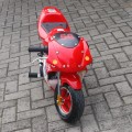 New Mini GP 50 cc