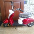 New Scoopy Mini Electric