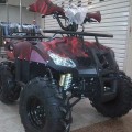 Motor ATV Ring 8 110cc