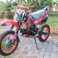 New Mini Trail 110cc