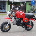 New Reflika Honda Mongkay 110cc