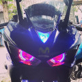 lampu projie r25