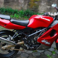 Ninja rr old th 2009