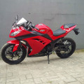 Dijual Kawasaki Ninja 250 2014