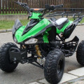 ATV Yamaha Raptor 125cc