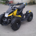 ATV Yamaha Raptor 125cc