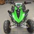 ATV Yamaha Raptor 125cc