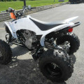 MOTOR ATV 250cc Stroke