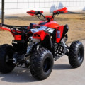 MOTOR ATV 250cc Stroke