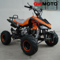 MOTOR ATV 250cc Stroke