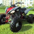 MOTOR ATV 250cc Stroke