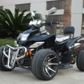 MOTOR ATV 250cc Stroke