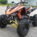 MOTOR ATV 250cc Stroke