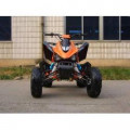 MOTOR ATV 250cc Stroke