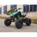 MOTOR ATV 250cc Stroke