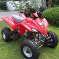 MOTOR ATV 250cc Stroke