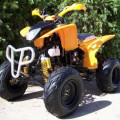 MOTOR ATV 250cc Stroke