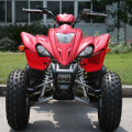 MOTOR ATV 250cc Stroke