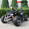 MOTOR ATV 250cc Stroke