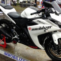 Yamaha R25