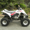 MOTOR ATV 250cc Stroke