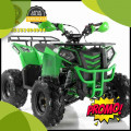 Wa O82I-3I4O-4O44, motor atv  Kab. Teluk Wondama