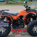 Wa O82I-3I4O-4O44,  MOTOR ATV 300 CC | MOTOR ATV MURAH 4 x 4 | Bojonegoro