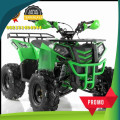 Wa O82I-3I4O-4O44, motor atv surabaya Kab. Timor Tengah Selatan