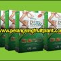 Pelansing Fruit Plant Herbal