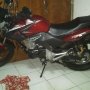 Jual Tiger Merah Maroon