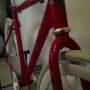 Jual Sepeda FixedGear Del pasado 2010 Frameset,lasco, novatec