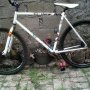 Jual sepeda fixie trick