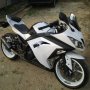 Jual Ninja 250 fi 2013 white kaki ER6 650cc Moge style