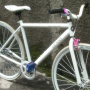 Jual Sepeda Fixie Genio