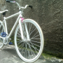 Jual Sepeda Fixie Genio